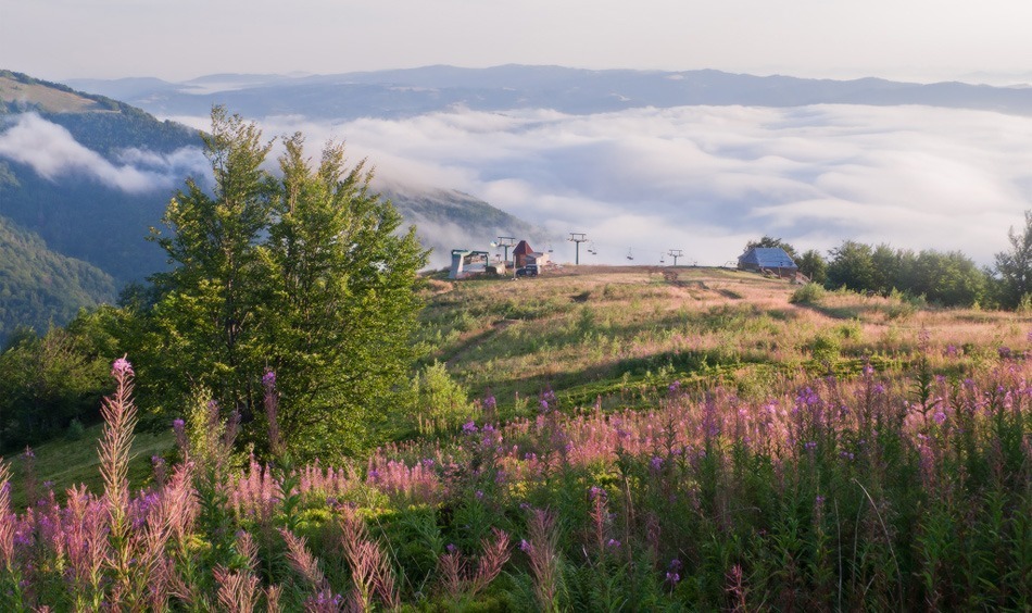 Гора Гемба (1 491м), Полонина Боржава - GUIDE.KARPATY.UA