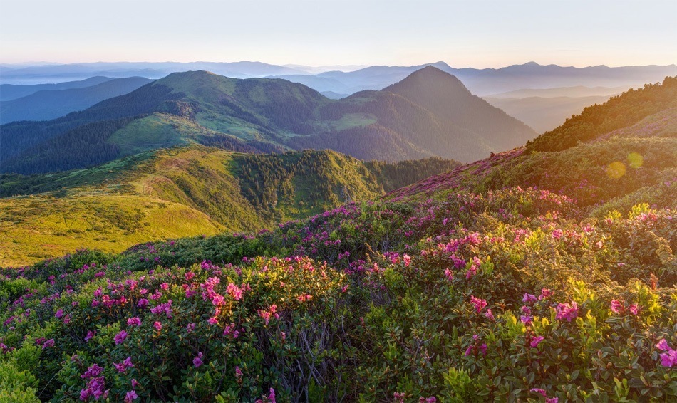 Мармароський масив — Мармароси - GUIDE.KARPATY.UA