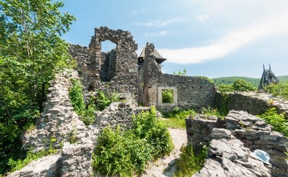 Мури Невицького замку