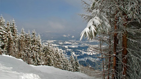 Славське — гірськолижний курорт - GUIDE.KARPATY.UA